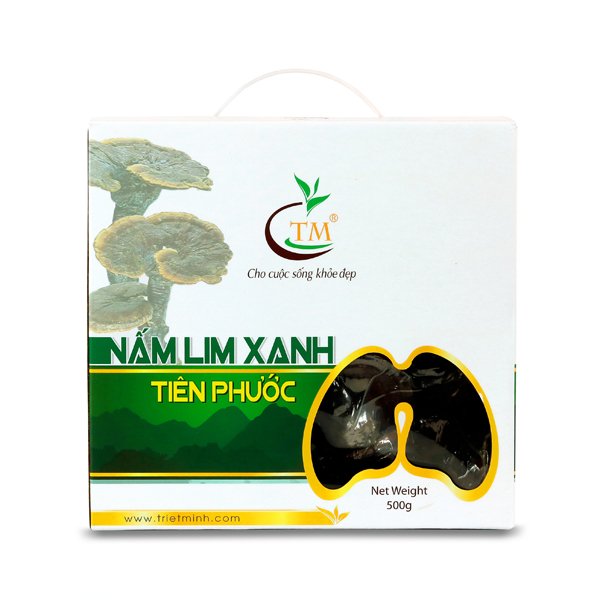 Nấm Lim Xanh nguyên cây 500g